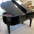 2005 JP Pramberger Platinum Edition grand piano - Grand Pianos